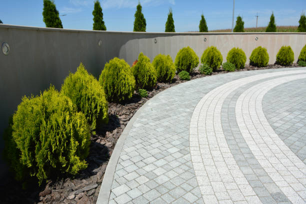 Best Driveway Paving Contractor  in Rodeo, CA